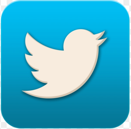 76 768050 twitter icon logo twitter gri logo png1